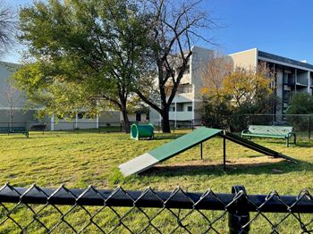 Dog park